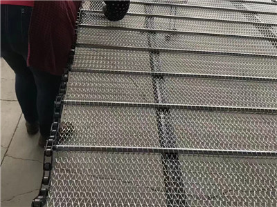 链条输送带图片5