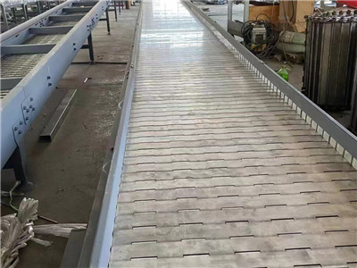 链板输送机图片2 链板输送机图片2