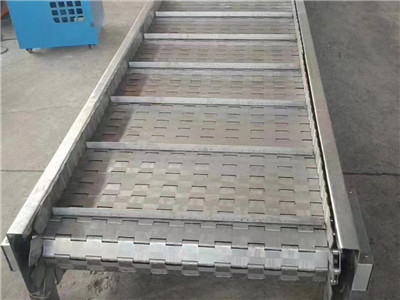 链板输送机图片6 链板输送机图片6