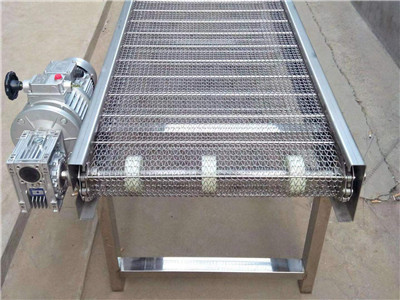 网带输送机图片4