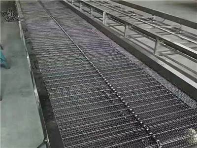 网带输送机图片7